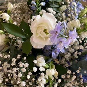 Meet your Posher, Karin